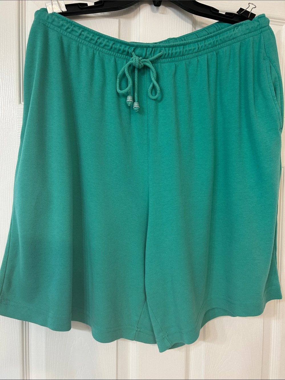 Woman Within Teal Athletic Shorts